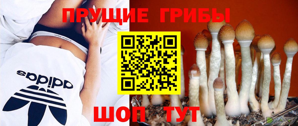 Псилоцибиновые грибы Cubensis  Вход с VPN  Алексин 